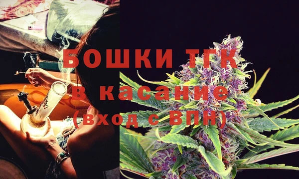MESCALINE Горняк