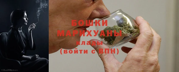 не бодяженный Горно-Алтайск