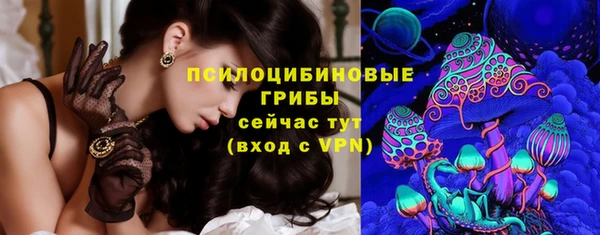 не бодяженный Горно-Алтайск